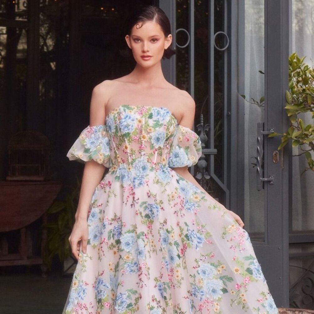 New Tea Length Elegant Tulle Dress w/ Removable Puff Sleeves & Zip Back CD A1406